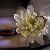 Kobus Kruger Photography - Wedding Accesories