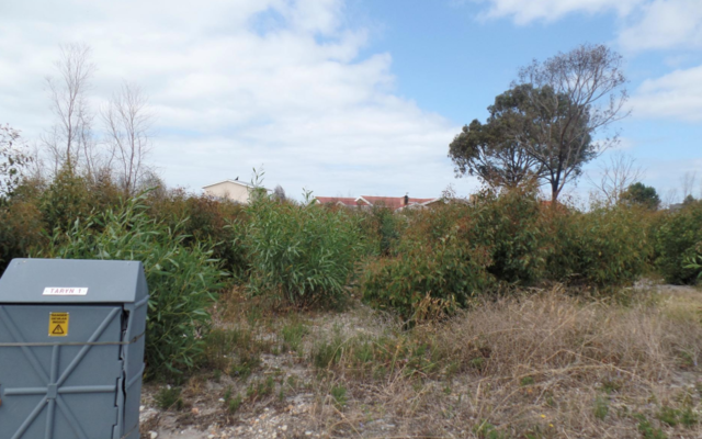 franskraal_plot_1579267127