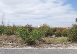 875m² Vacant Land For Sale In Franskraal