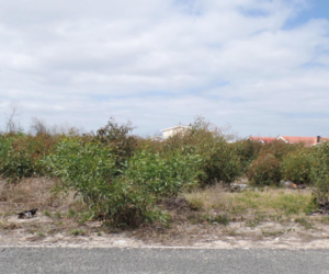 875m² Vacant Land For Sale In Franskraal