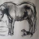 Charcoal Sketch (when my dog was very little) - Sara Abbott Studio - Stanford