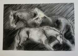 Recent Charcoal Drawings