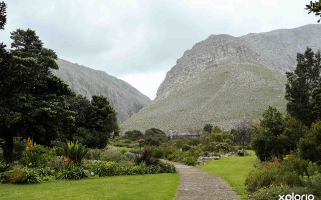 bettys_bay_things_to_do_harold_porter_botanical_garden_foot_path_mountain_1572352677_1579757394