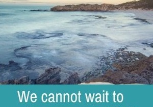 2020 - A bumper year for De Hoop