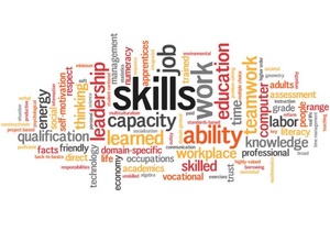 Skills Development Levy