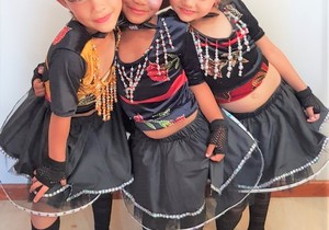 Pikkewyntjies 2020 Funding Challenge