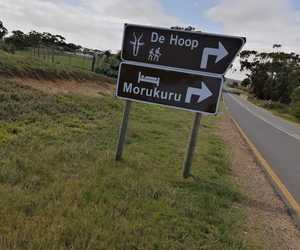 Thank you to Morukuru