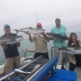 Struisbaai - Awesome Charters - Fish Caught