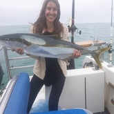 Struisbaai - Awesome Charters - Very Nice Fish