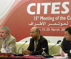 CITES Board