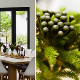 Hermanus - Property Outline - Holiday Home With Style