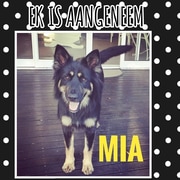 Kogh Family Adopted Mia