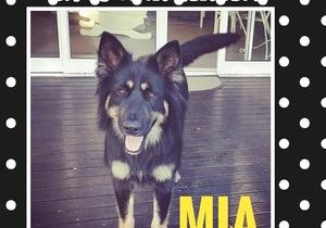 Kogh Family Adopted Mia