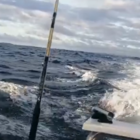 Day 2: Marlin Tournament 2020 - Team Stompie