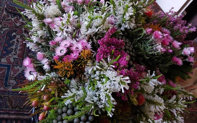 WhatsApp_Image_2020_02_12_at_13.50.32_2_1581513881