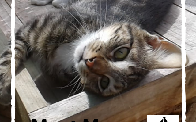 Meet_Mera_1581919121