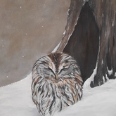 Tawny Owl - Linda Budde_Artist - Gansbaai