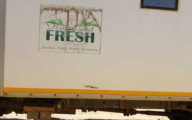 WhatsApp_Image_2020_02_13_at_11.30.36_1581593908