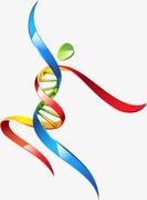 Employee Wellness Introduction Breakfast - 10 March 2020