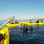 Sea Kayaking - Walker Bay Adventures - Hermanus Sea Kayaking - Walker Bay Adventures - Hermanus