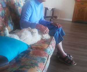 Pets Make Great Companions