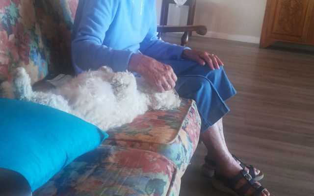 WhatsApp_Image_2020_02_18_at_08.08.36_1582020870