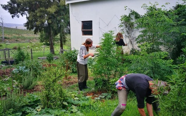 84551573_1062177580807009_2116884033240563712_n_1582187240