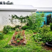 Community Garden Day!