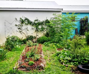 Community Garden Day!