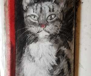 Cat Charcoal Sketches