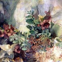 Gansbaai - Sea View Art Centre - Water Colour Wild Flowers and Succulents at Franskraal