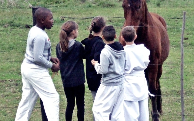 gashuku_015_1582542951