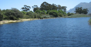 Stanford & Surrounds