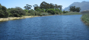 Stanford & Surrounds