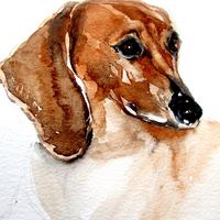 Learn Pet Portraiture