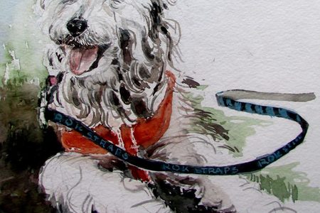 38085673_10215694187181533_6780635221483061248_n_1582707258