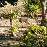 Garden - Kannaland Holiday Resort - Barrydale