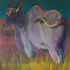 Young Bull - Milly Jones Art - Pringle Bay & Rooi Els Young Bull - Milly Jones Art - Pringle Bay & Rooi Els