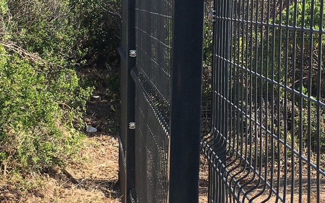 IMG_2758_resized_2__1583389527