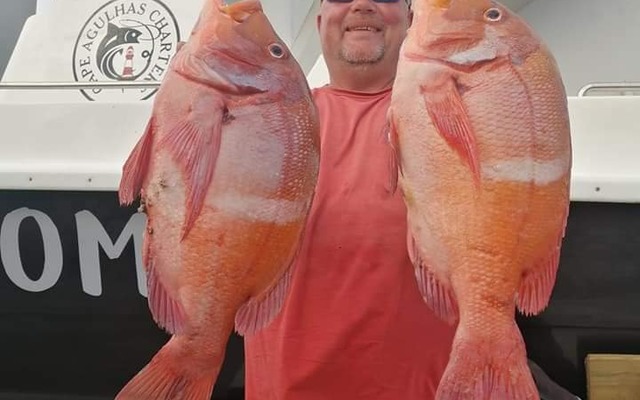 88144284_3141390909227717_5148462518456287232_n_1583404881