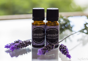 Life-Enhancing Essential Oils