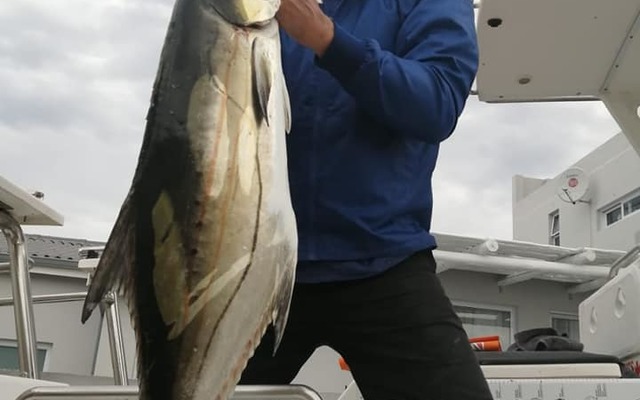 88321453_3142600079106800_4849189360479764480_n_1583492865