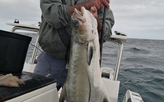 89414016_3142600162440125_8026867274302357504_n_1583492866