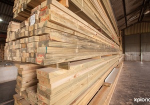 Flooring and Decking