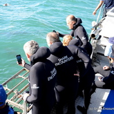 Shark Up Close - Shark Encounters - Gansbaai