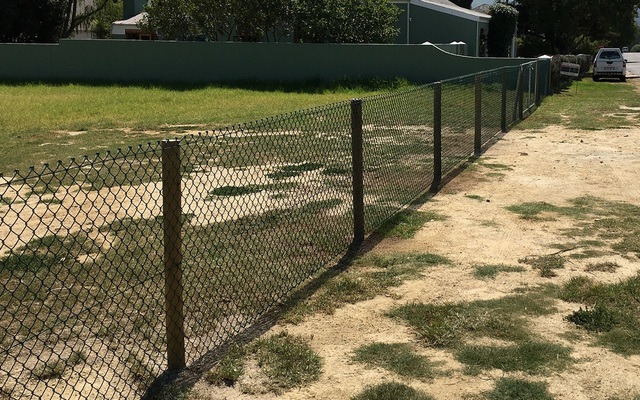 IMG_2886_1_1584337683