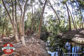 New MTB Single Tracks