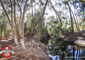 New MTB Single Tracks