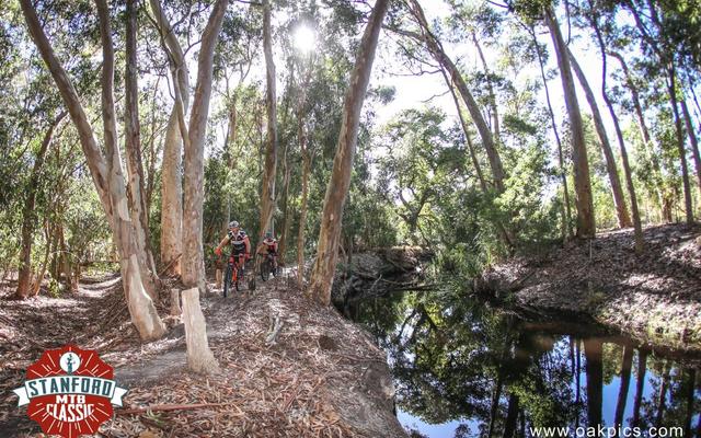 WhatsApp_Image_2020_03_17_at_14.47.29_3_1584513911