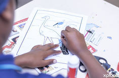 agulhas_education_primary_school_zoetendal_akademie_academy_cat_educational_facility_1584524553